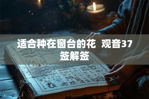适合种在窗台的花 观音37签解签 适合种在窗台的花 观音37签解签