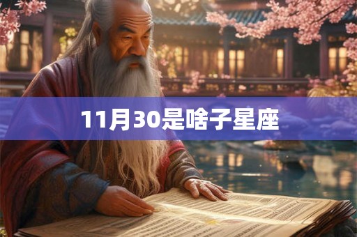 11月30是啥子星座