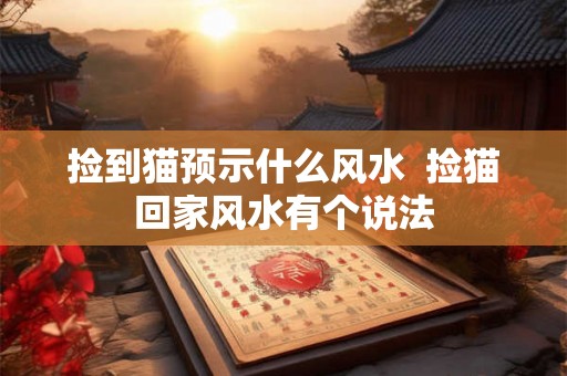 捡到猫预示什么风水  捡猫回家风水有个说法