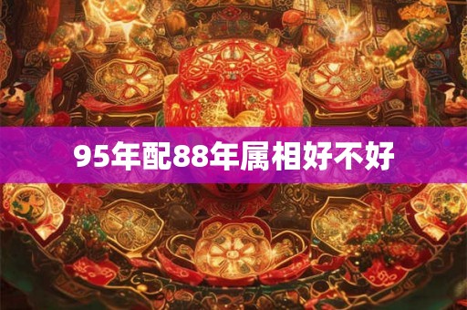 95年配88年属相好不好