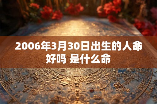 2006年3月30日出生的人命好吗 是什么命