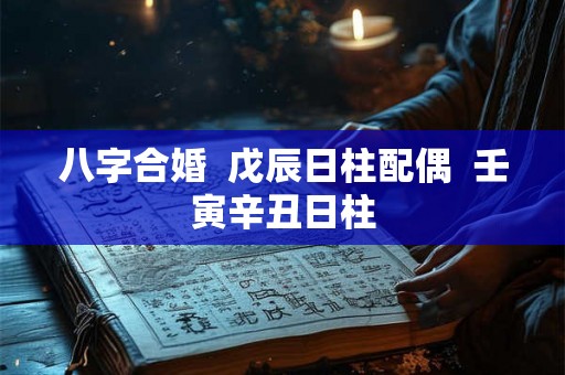 八字合婚 戊辰日柱配偶 壬寅辛丑日柱 八字合婚 戊辰日柱配偶 壬寅辛丑日柱