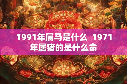 1991年属马是什么  1971年属猪的是什么命