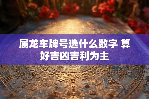 属龙车牌号选什么数字 算好吉凶吉利为主