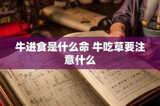 牛进食是什么命 牛吃草要注意什么