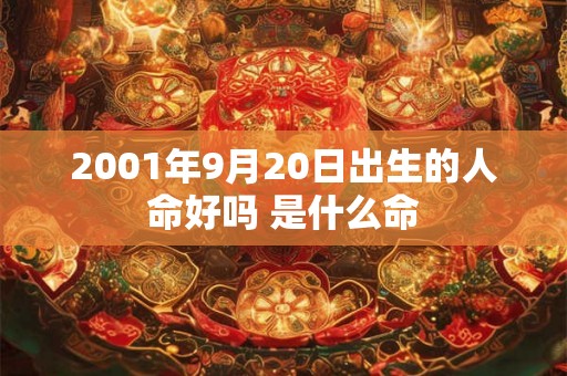 2001年9月20日出生的人命好吗 是什么命