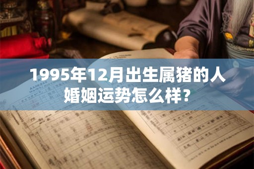 1995年12月出生属猪的人婚姻运势怎么样？