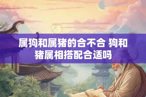 属狗和属猪的合不合 狗和猪属相搭配合适吗