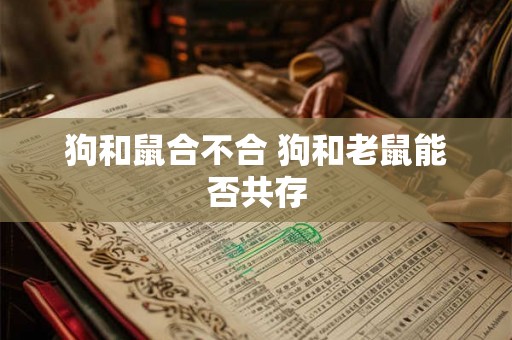 狗和鼠合不合 狗和老鼠能否共存