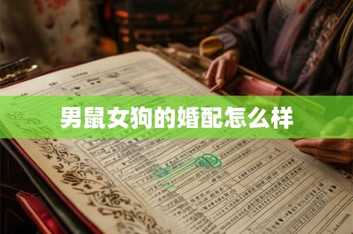 男鼠女狗的婚配怎么样