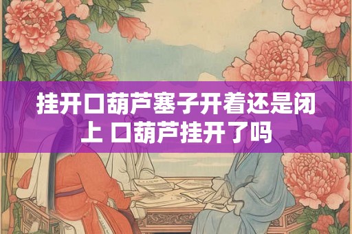 挂开口葫芦塞子开着还是闭上 口葫芦挂开了吗