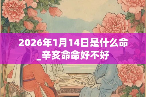 2026年1月14日是什么命_辛亥命命好不好