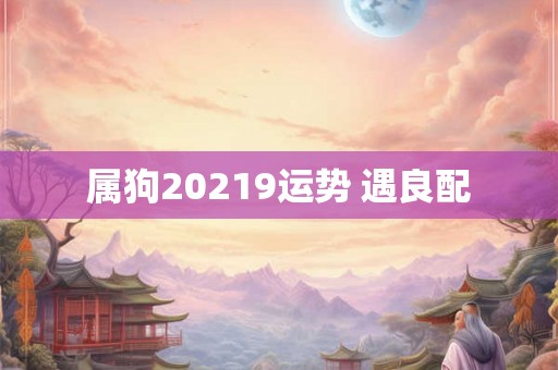 属狗20219运势 遇良配