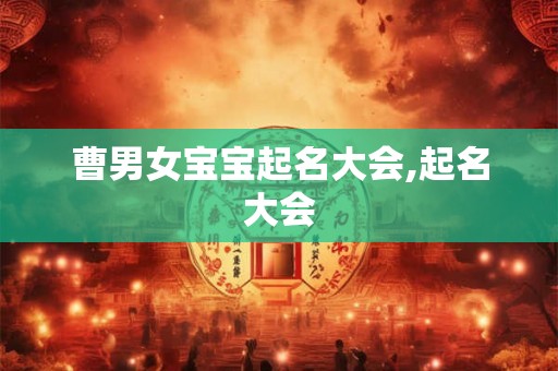 曹男女宝宝起名大会,起名大会