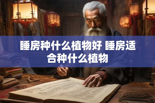 睡房种什么植物好 睡房适合种什么植物 睡房种什么植物好 睡房适合种什么植物