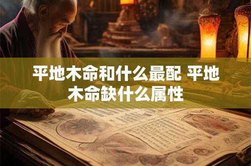 平地木命和什么最配 平地木命缺什么属性 平地木命和什么最配 平地木命缺什么属性