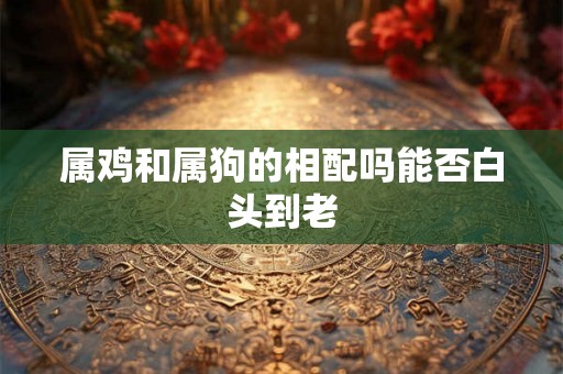 属鸡和属狗的相配吗能否白头到老