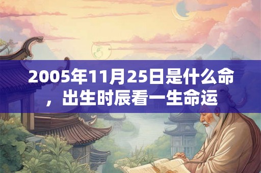 2005年11月25日是什么命，出生时辰看一生命运