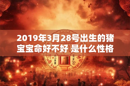 2019年3月28号出生的猪宝宝命好不好 是什么性格 2019年3月28号出生的猪宝宝命好不好 是什么性格