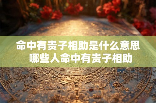 命中有贵子相助是什么意思  哪些人命中有贵子相助
