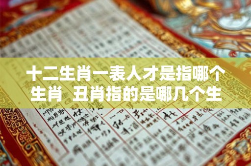 十二生肖一表人才是指哪个生肖  丑肖指的是哪几个生肖
