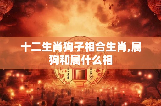 十二生肖狗子相合生肖,属狗和属什么相