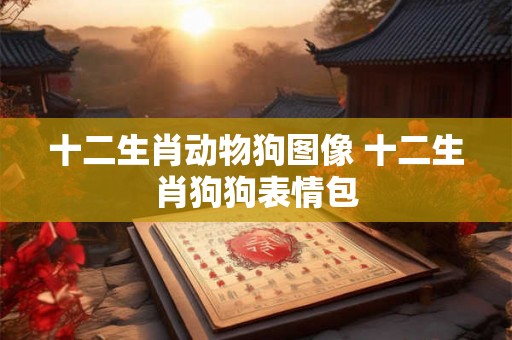 十二生肖动物狗图像 十二生肖狗狗表情包