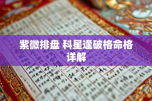 紫微排盘 科星逢破格命格详解