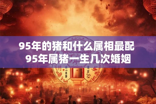 95年的猪和什么属相最配 95年属猪一生几次婚姻
