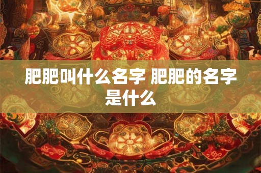 肥肥叫什么名字 肥肥的名字是什么