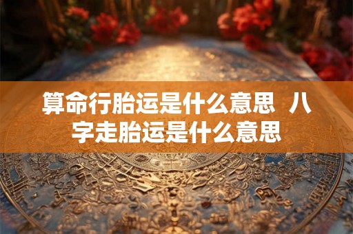 算命行胎运是什么意思  八字走胎运是什么意思