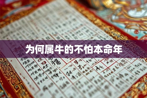 为何属牛的不怕本命年