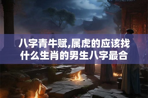 八字青牛赋,属虎的应该找什么生肖的男生八字最合