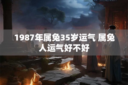 1987年属兔35岁运气 属兔人运气好不好