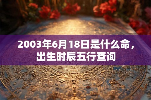 2003年6月18日是什么命，出生时辰五行查询