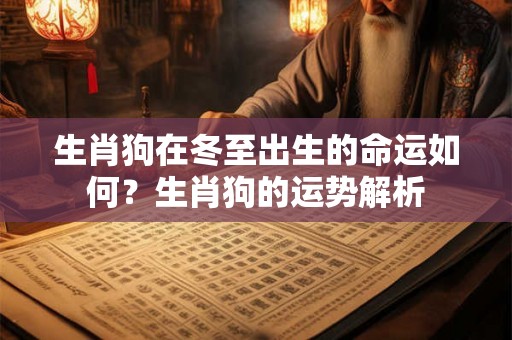生肖狗在冬至出生的命运如何？生肖狗的运势解析
