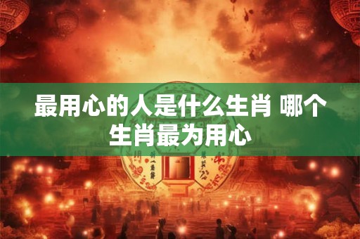 最用心的人是什么生肖 哪个生肖最为用心 最用心的人是什么生肖 哪个生肖最为用心