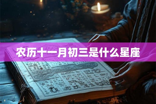 农历十一月初三是什么星座