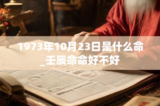 1973年10月23日是什么命_壬辰命命好不好
