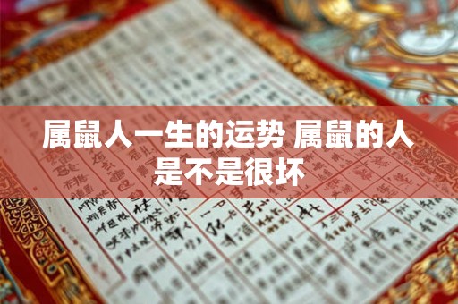 属鼠人一生的运势 属鼠的人是不是很坏