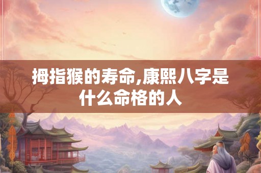 拇指猴的寿命,康熙八字是什么命格的人 拇指猴的寿命,康熙八字是什么命格的人