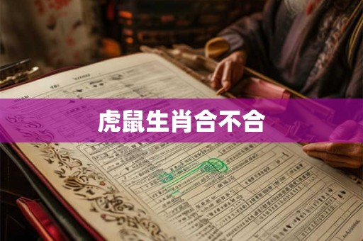 虎鼠生肖合不合
