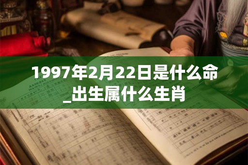 1997年2月22日是什么命_出生属什么生肖