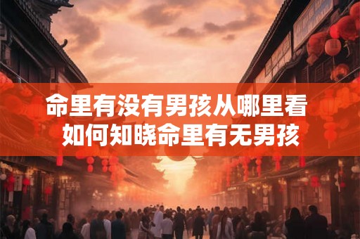 命里有没有男孩从哪里看 如何知晓命里有无男孩