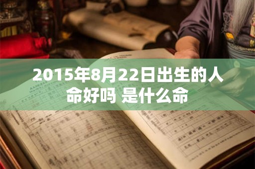2015年8月22日出生的人命好吗 是什么命