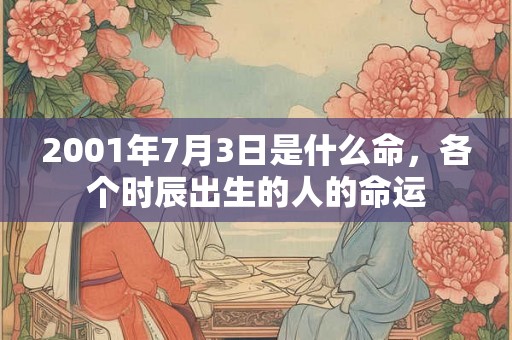 2001年7月3日是什么命，各个时辰出生的人的命运