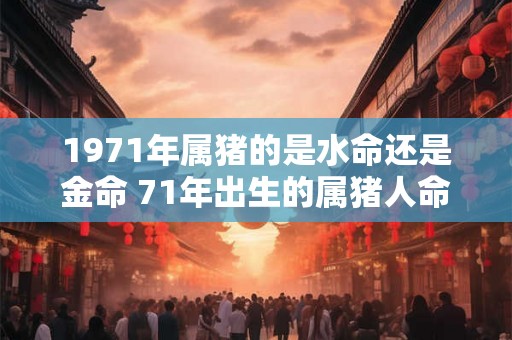 1971年属猪的是水命还是金命 71年出生的属猪人命运如何 1971年属猪的是水命还是金命 71年出生的属猪人命运如何