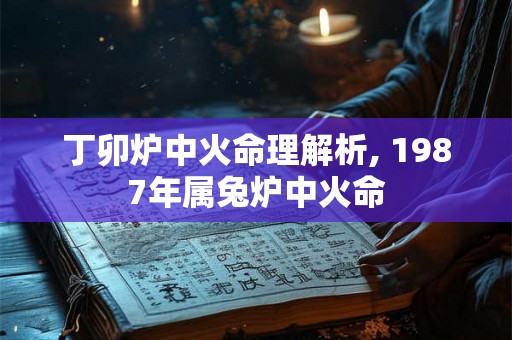 丁卯炉中火命理解析, 1987年属兔炉中火命