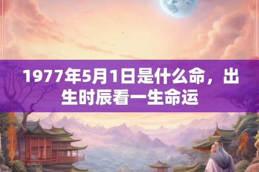 1977年5月1日是什么命，出生时辰看一生命运