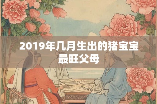 2019年几月生出的猪宝宝最旺父母 2019年几月生出的猪宝宝最旺父母
